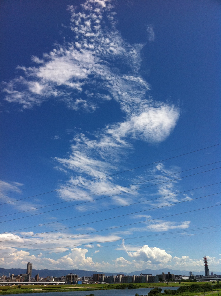 夏雲2011