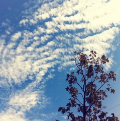 涼しげな夏