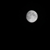 IMG_2856
