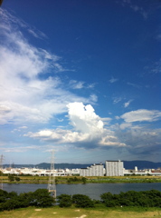 夏雲2011