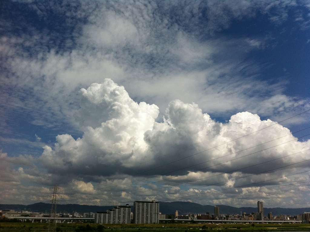 夏雲2011