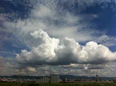 夏雲2011