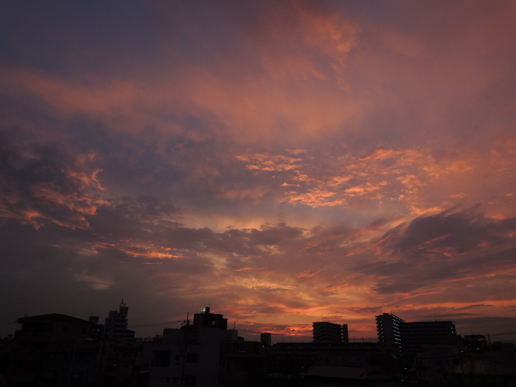 夕焼け