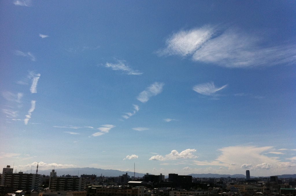 夏雲2011