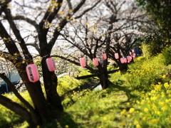 春のはじまり