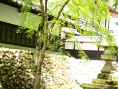 何気ない一角