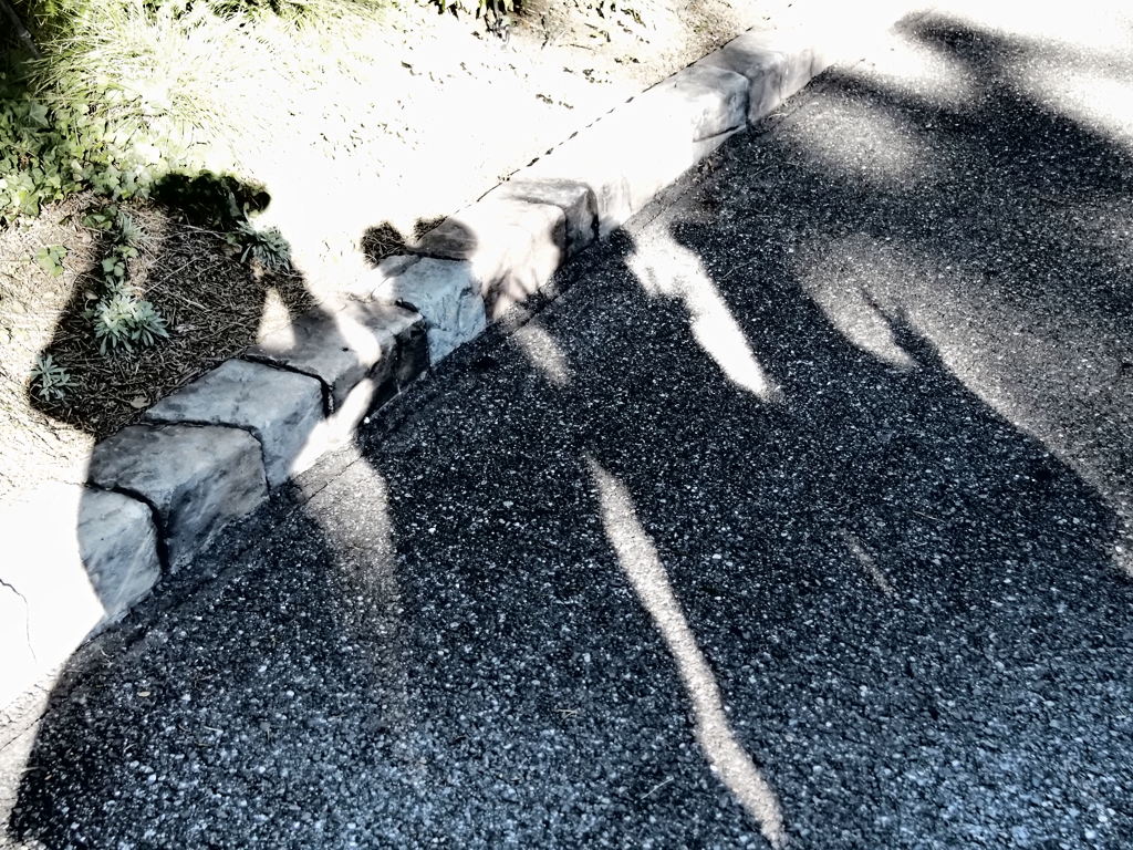 遊び心