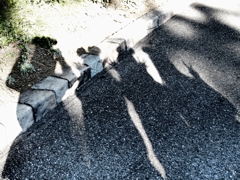 遊び心