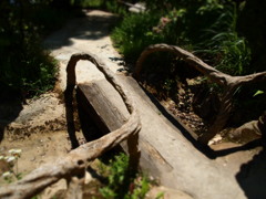 ちいさな橋