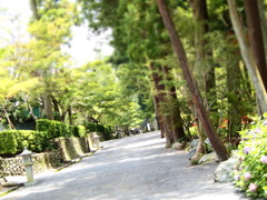 道