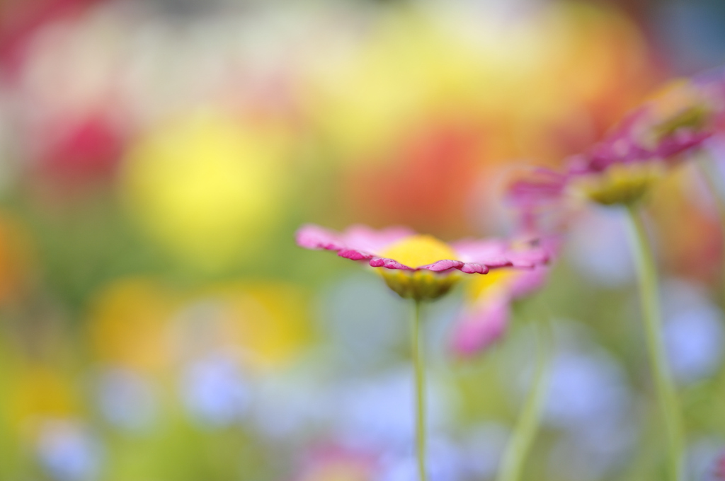 DSC_3035_PH