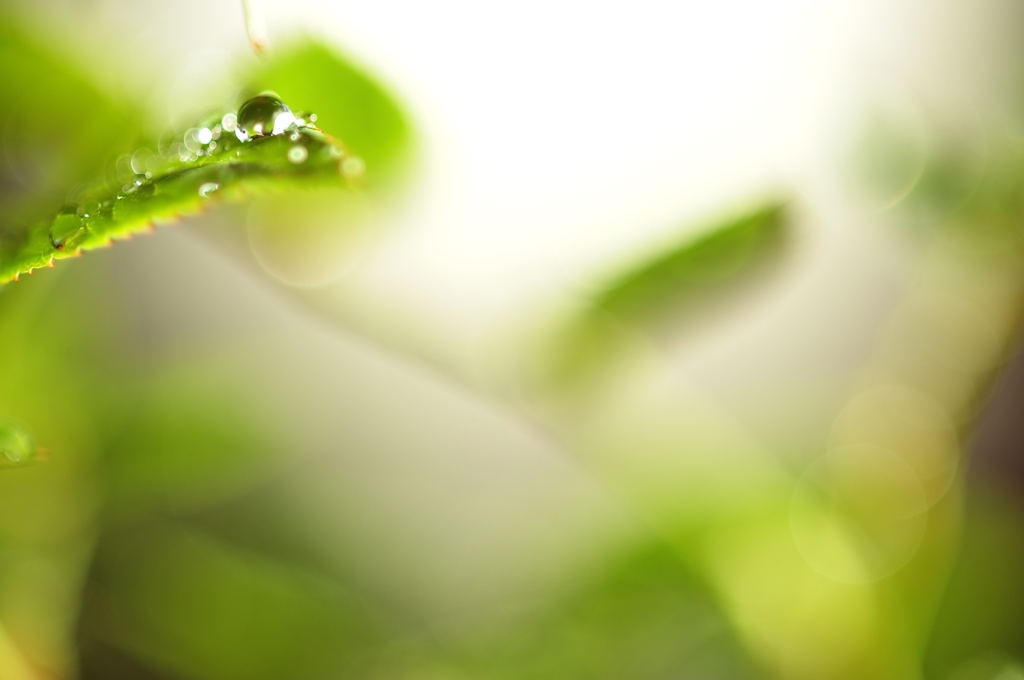 _DSC6742_PH