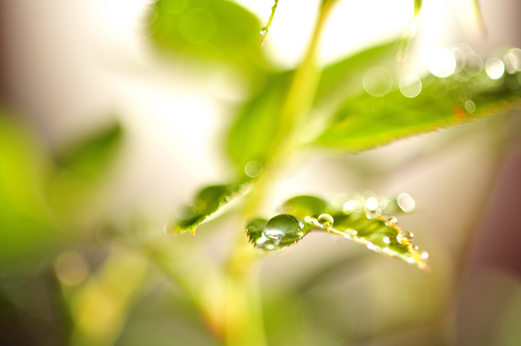 _DSC6741_PH