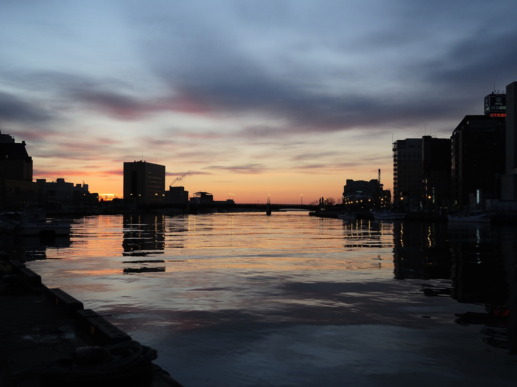 DSCN1538_PH