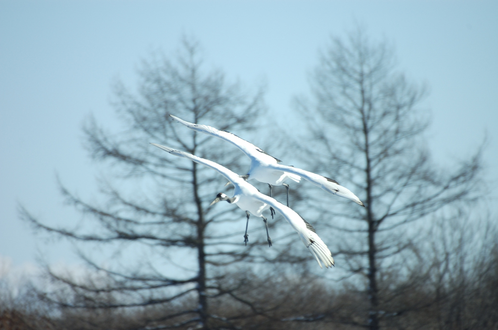 DSC_5753_PH