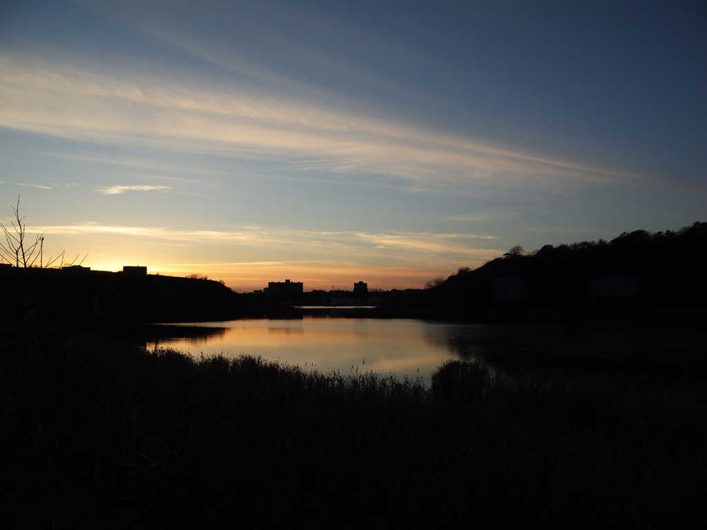 DSCN1236_PH