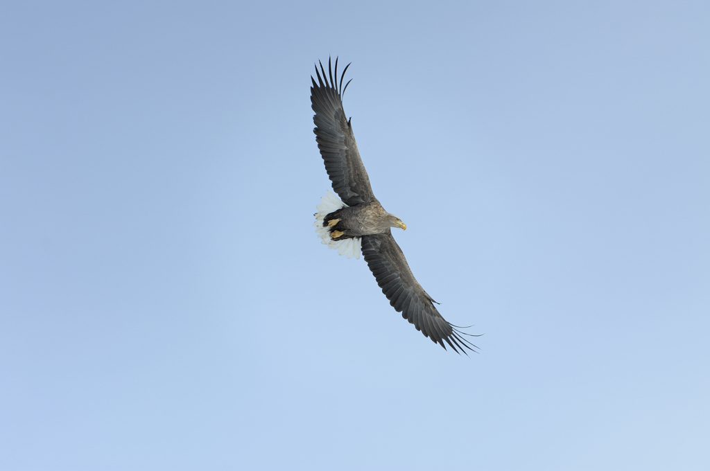 _DSC5835_PH