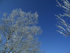 DSCN0726_PH