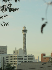 秋の横浜マリンタワー