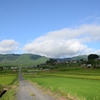 一本道