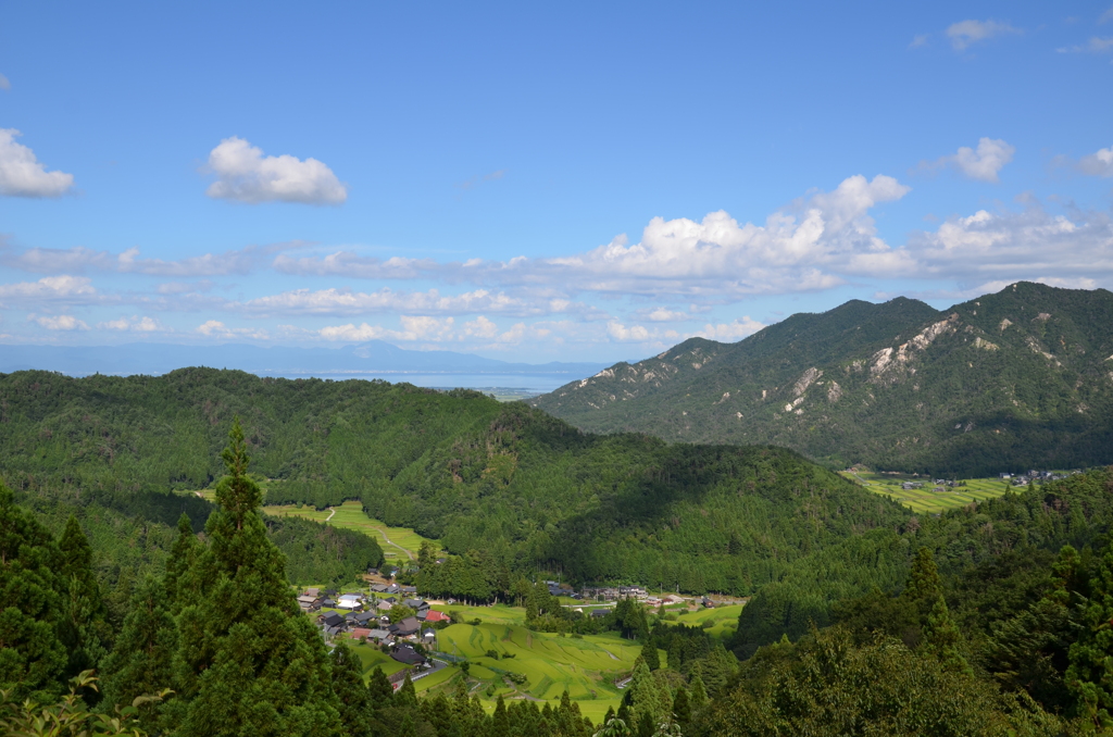畑の棚田を一望