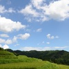 畑の棚田