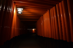 夜の千本鳥居