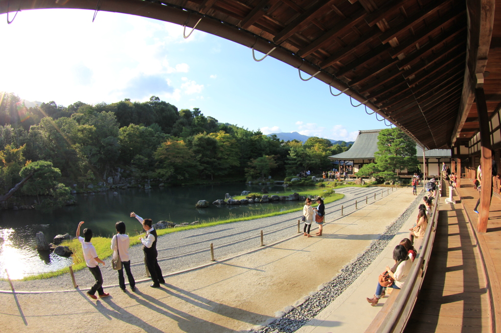 陽光差す軒先