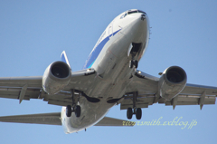 函館空港ANAウイングス Boeing 737-500着陸1