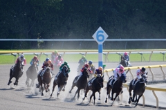 東京競馬