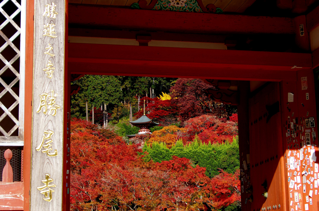 勝尾寺Ⅱ 3-1