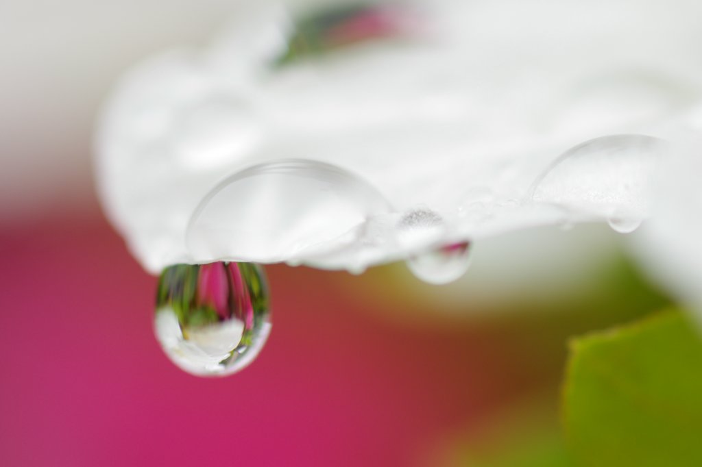 after the rain