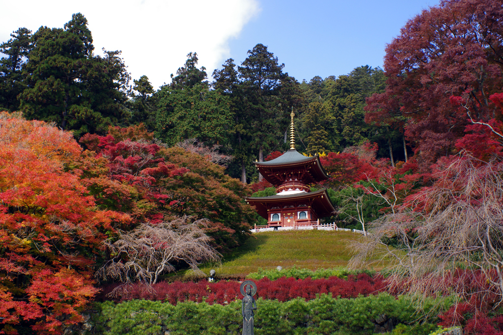勝尾寺 3-1
