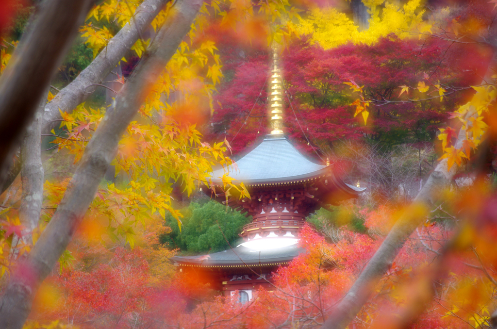 勝尾寺Ⅱ 3-3