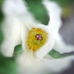 つつまれて
