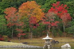 万博 日本庭園 2-2