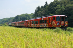 稲穂と南風