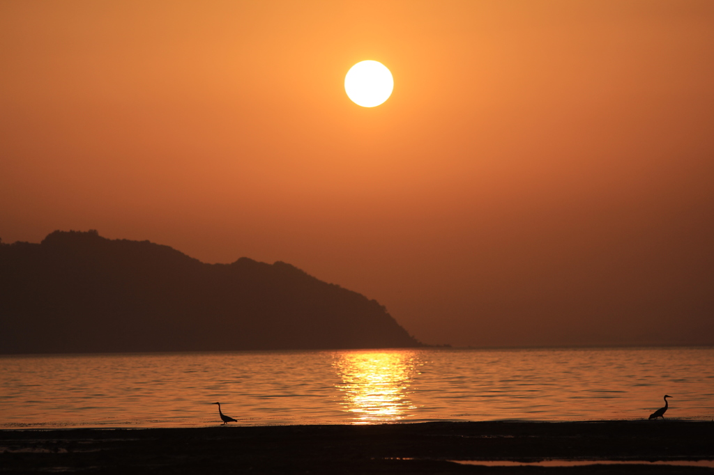 海岸寺の夕日　①