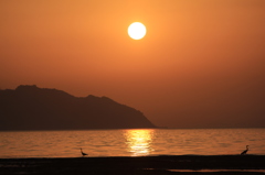 海岸寺の夕日　①