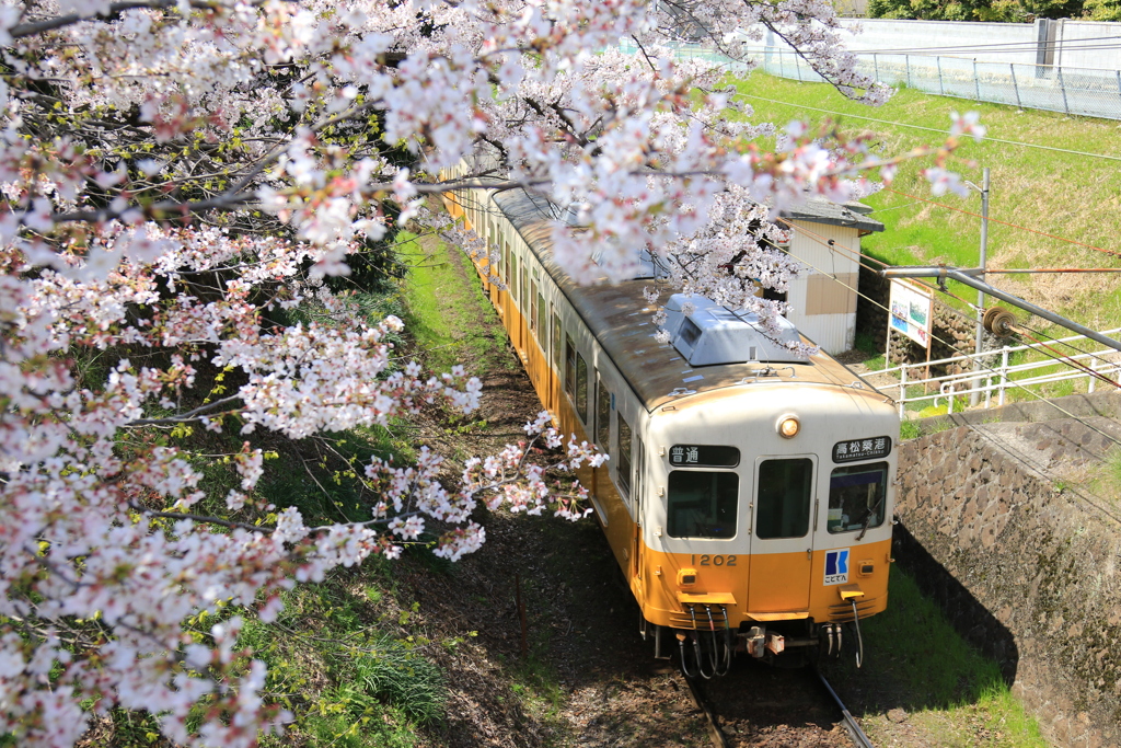 挿頭丘駅