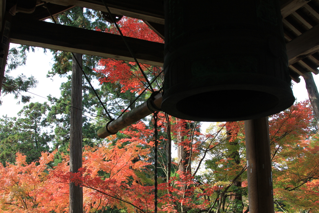 81番札所　　白峯寺