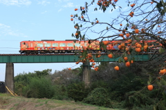 柿とアンパンマン列車