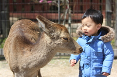 何かよう？？？