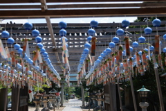 風鈴と特急うずしお