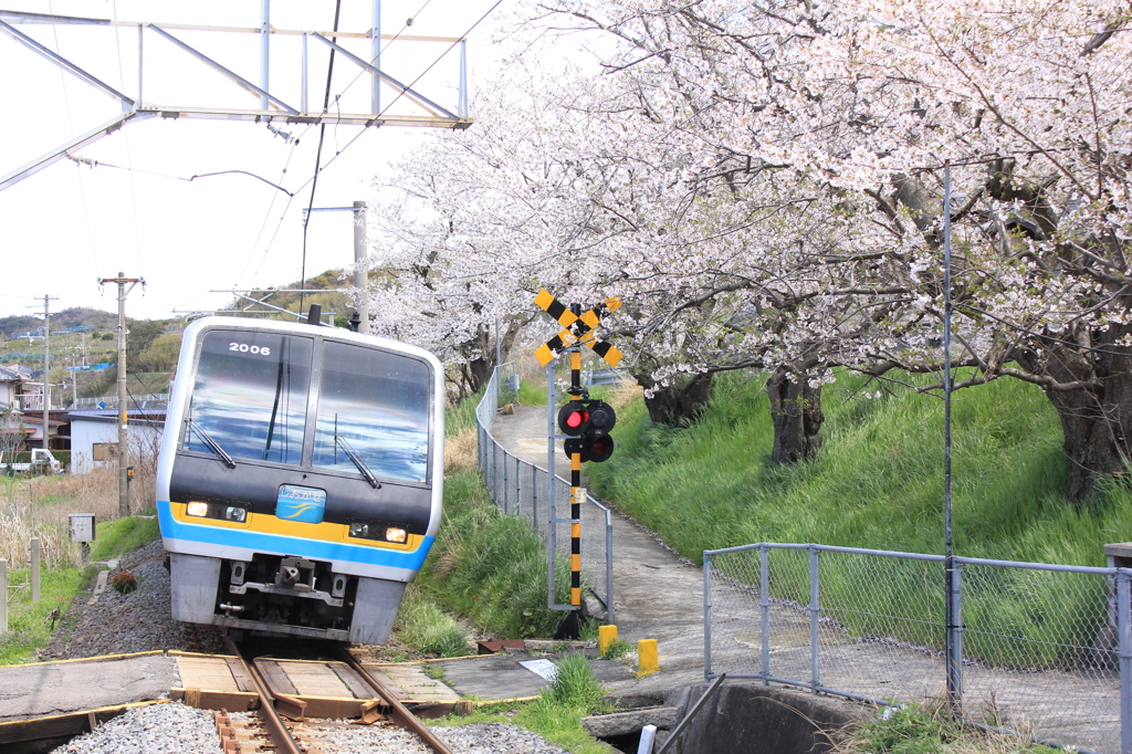 2000系しおかぜ