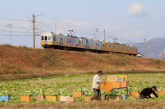 コトデンと農作業