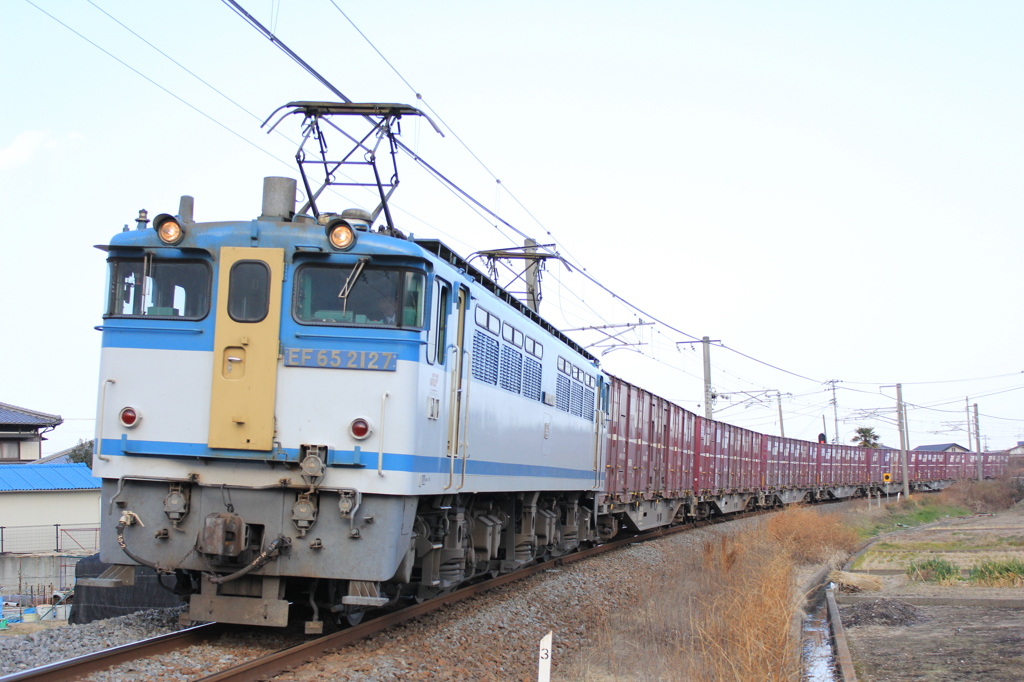 EF65　2127　カラシ君