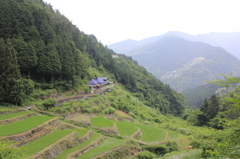 下影の棚田