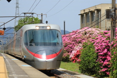 豊浜駅のつつじ