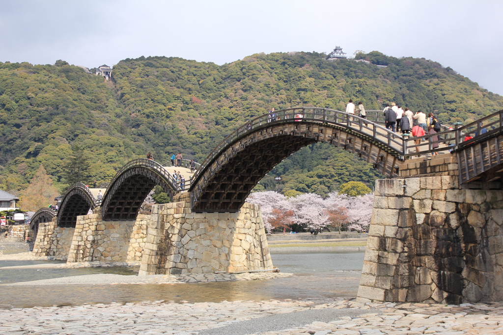 春の錦帯橋